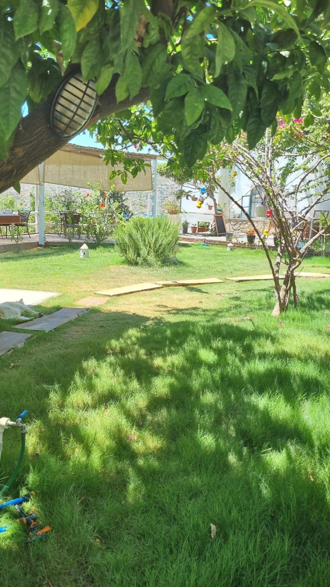 Lemon Garden Boutique Hotel Bozburun Exterior foto